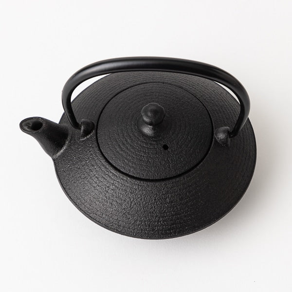 Nambu Teapot Flat 0.2L