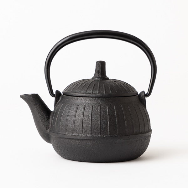 Nambu Teapot Chigusa 0.25L