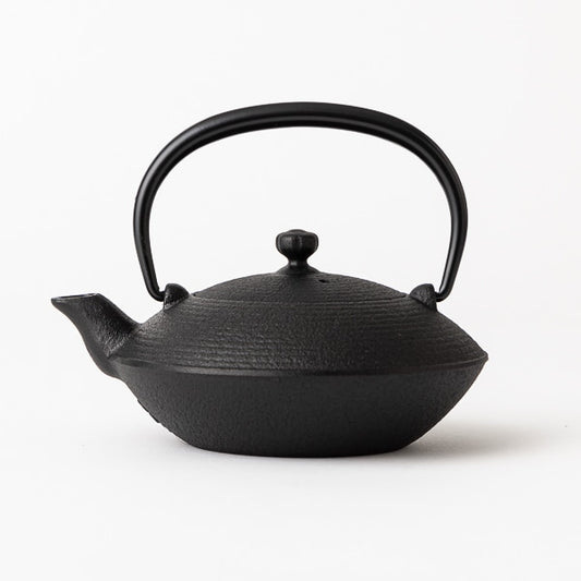 Nambu Teapot Flat 0.2L